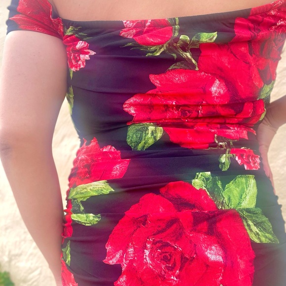 La Rosita Mini Dress - Picture 9 of 15